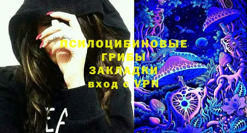 Галлюциногенные грибы Psilocybine cubensis  Курган 